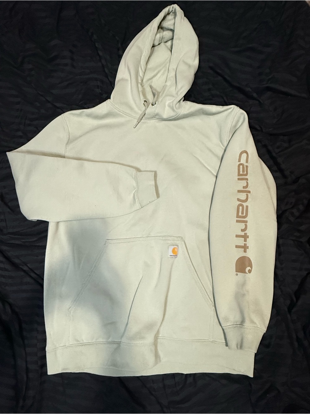 Carhartt Loose Fit Hoodie in Sage Green
